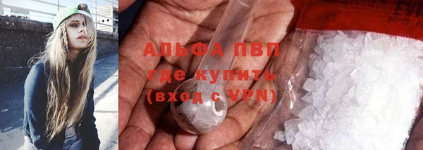ECSTASY Богородицк