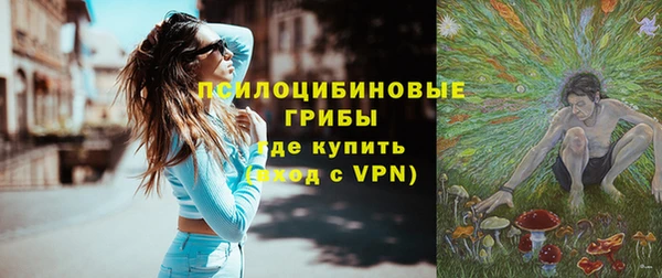 гидра Белоозёрский