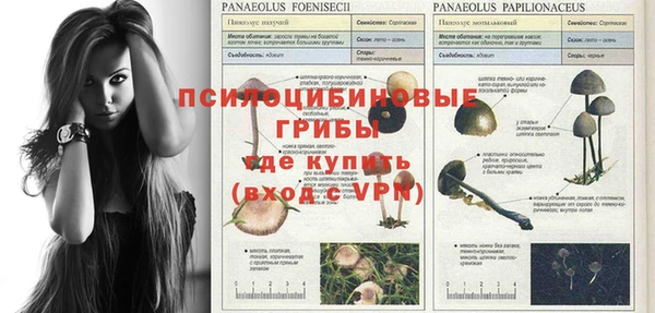 ПСИЛОЦИБИНОВЫЕ ГРИБЫ Беломорск